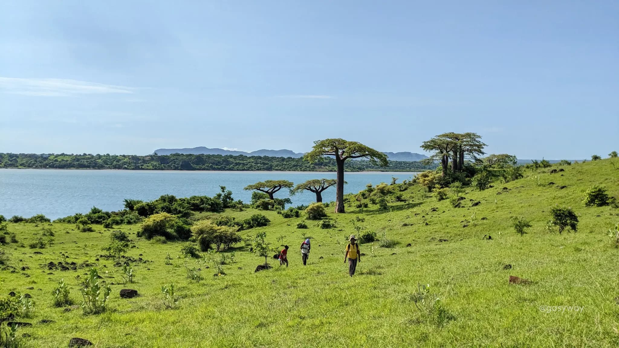 Cap_Diego_Baobab